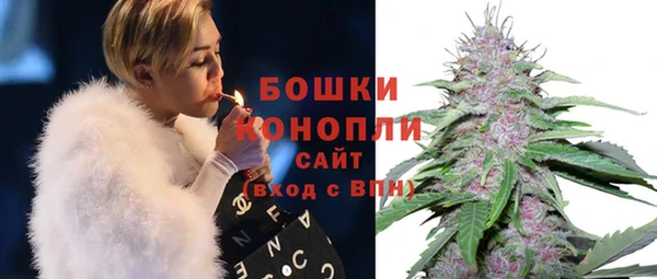 PSILOCYBIN Богородицк