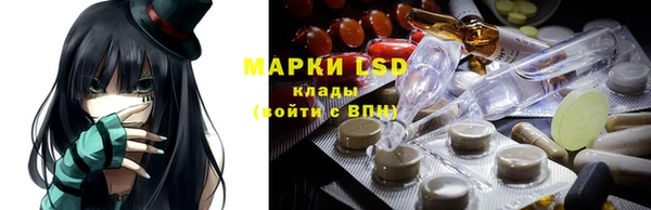 PSILOCYBIN Богородицк
