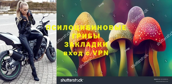 PSILOCYBIN Богородицк