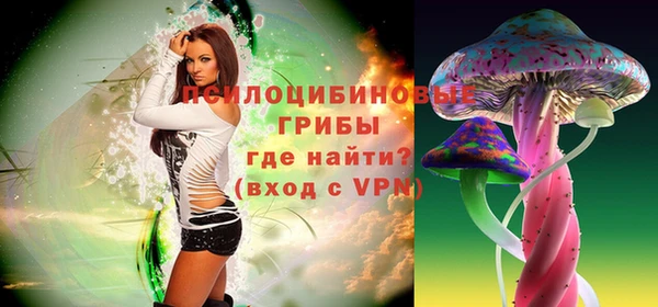a pvp Богданович