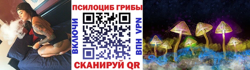 Псилоцибиновые грибы GOLDEN TEACHER  цены наркотик  Макаров 